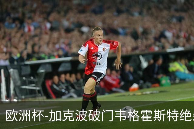 欧洲杯-加克波破门韦格霍斯特绝杀 荷兰2-1波兰